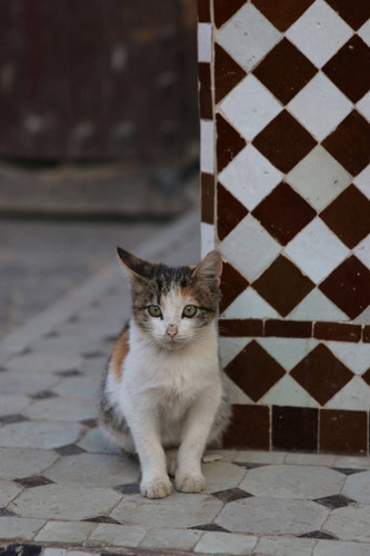 Marrakesh #4 Photo by Agnes Pierscieniak
