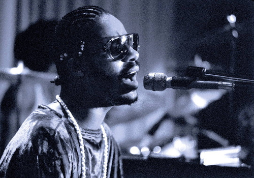 Stevie Wonder #1 Photo by Jeffrey Mayer