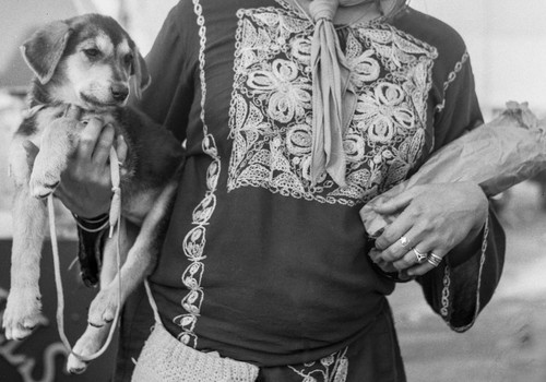 Puppy & Wine Photo by Rod Bradley
