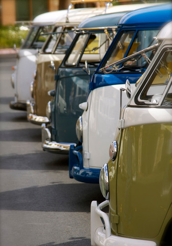 VW Lineup Photo by Sara Lamp