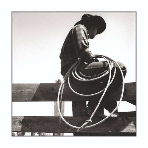 Cowboy Roper by Drew Carolan