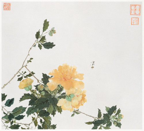Insects and Flowers 1 by Ju Lian