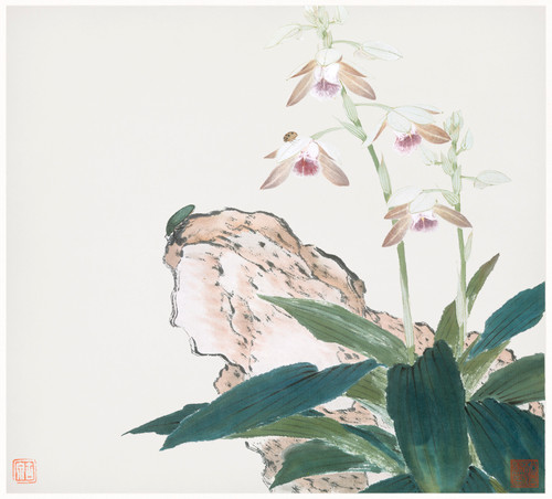 Insects and Flowers 6 by Ju Lian