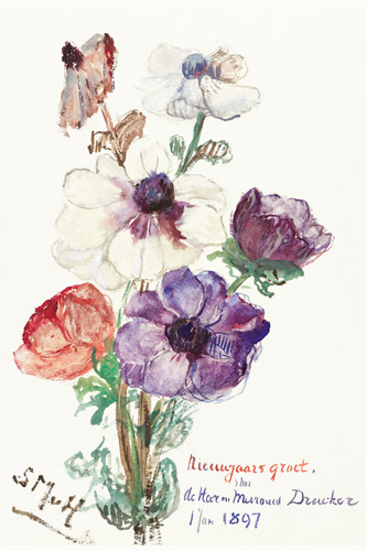 New Year's Greeting with Anemones  by Sina van Houten