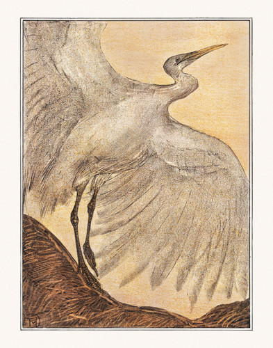 Egret by Theo van Hoytema