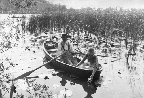 gathering-water-lilies_peter_herry-emerson