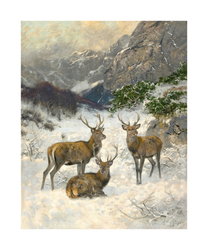 A Deer Herd in Winter by Josef Schmitzberger