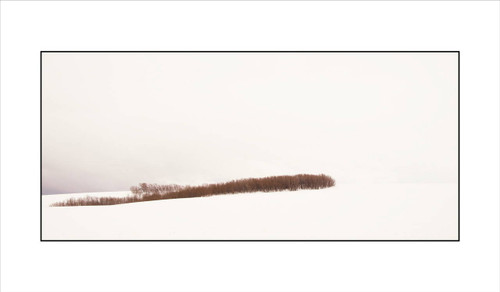 Winter 5 by Arturo Castillo Scenic Photo