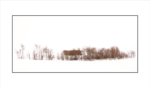 Winter 8 by Arturo Castillo | Winter scene with snow and tree line