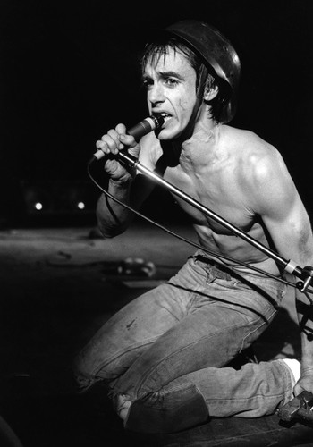 Iggy Pop #2 | Classic Rock Photo | Limited Edition Print | Richard E. Aaron