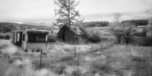 Lopez Island 1 by Benjamin Malay
