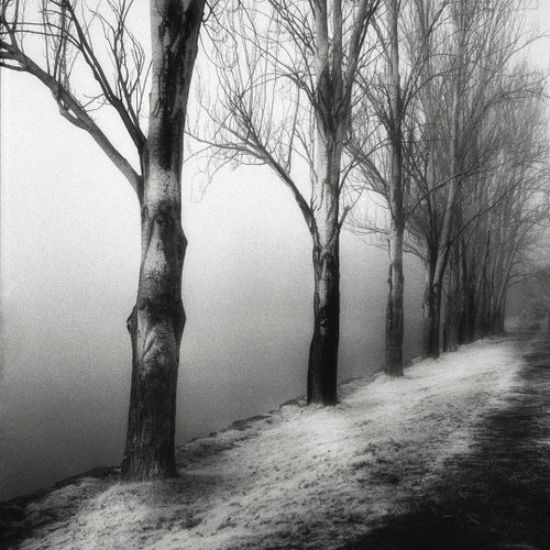 Seward Park 2 by  Benjamin Malay