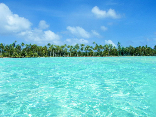 Moana Pama