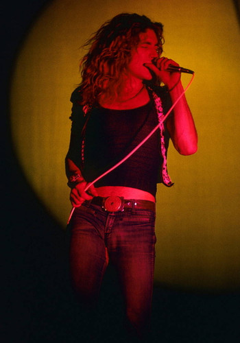 Led Zeppelin #7 | Robert Plant | Classic Rock Photo | Limited Edition Print | Richard E. Aaron