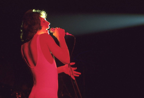 Queen #8 | Freddie Mercury | Classic Rock Photo | Limited Edition Print | Richard E. Aaron