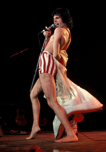 Queen #5 | Freddie Mercury | Classic Rock Photo | Limited Edition Print | Richard E. Aaron