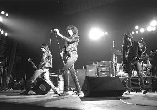 Ramones #3 | Punk Rock Photo | Limited Edition Print | Richard E. Aaron