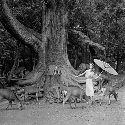 Nara by Gleb Derujinsky | Vintage Fashion Photo | Fashion Shot of model feeding deer