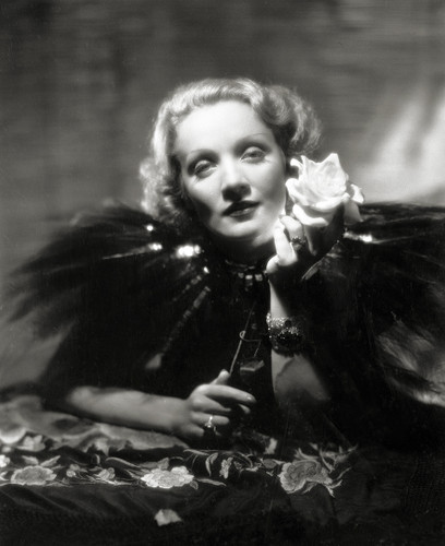 Gorgeous Marlene Dietrich portrait styled in a black feather cape where she holds a white rose. Shot by William Walling, Jr.