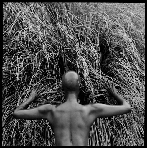 Hive by Javiera Estrada