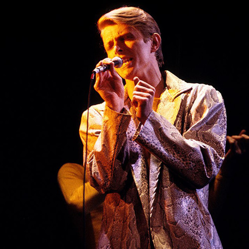 David Bowie #2 | Classic Rock Photo | Limited Edition Print | Richard E Aaron