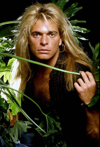 David Lee Roth | Van Halen | Classic Rock Photo | Limited Edition Print | Richard E. Aaron