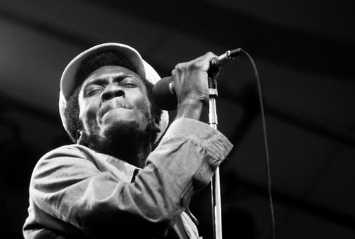 Jimmy Cliff | Classic Rock Photo | Limited Edition Print | Richard E. Aaron