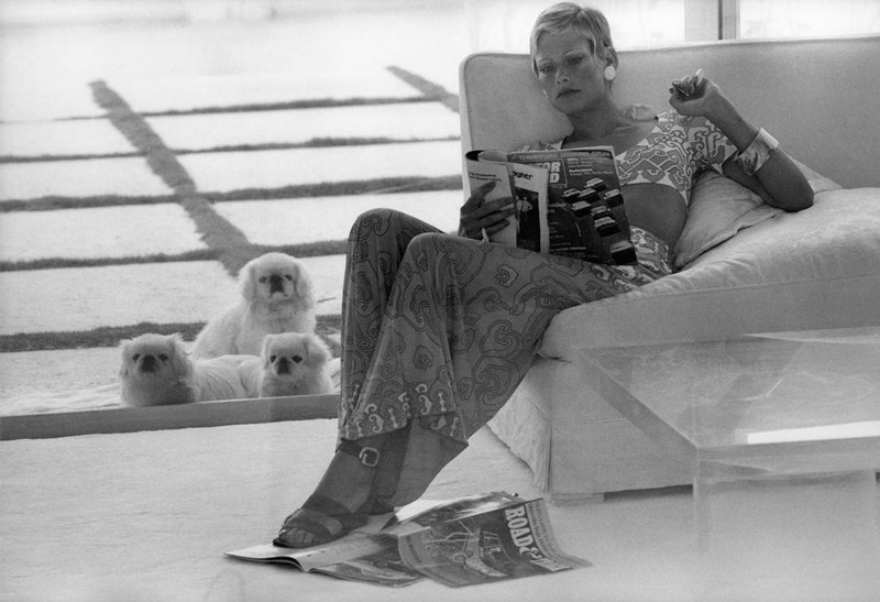 1970\'s fashion shoot with three fluffy white dogs