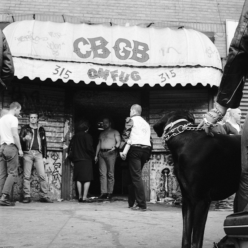 Chained Dog Photo by Drew Carolan outside CBGB in New York