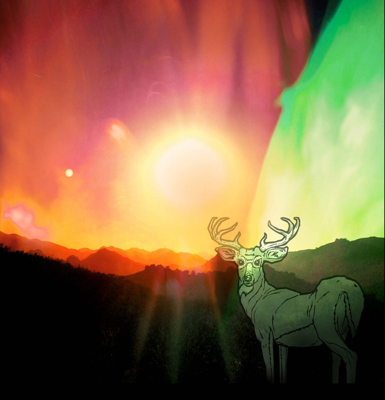 Solar Bliss by Jose Pasillas II X SceneFour Collab