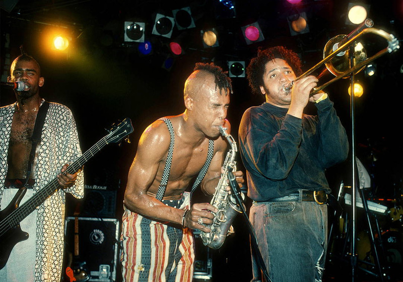 Fishbone #1 by Jeffrey Mayer