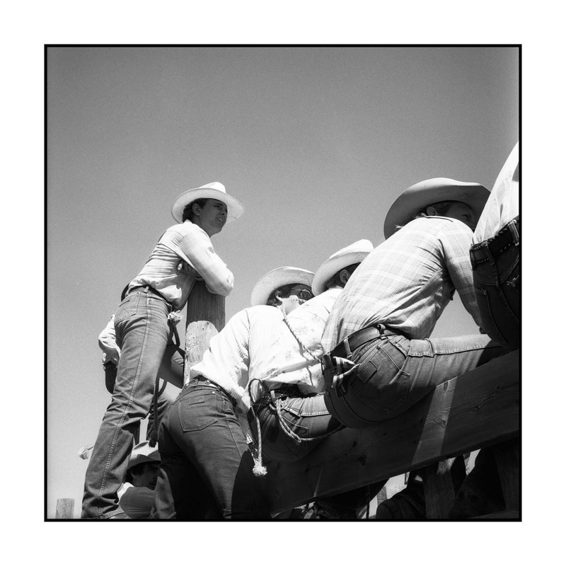 Watching the Competition Photo by Drew Carolan