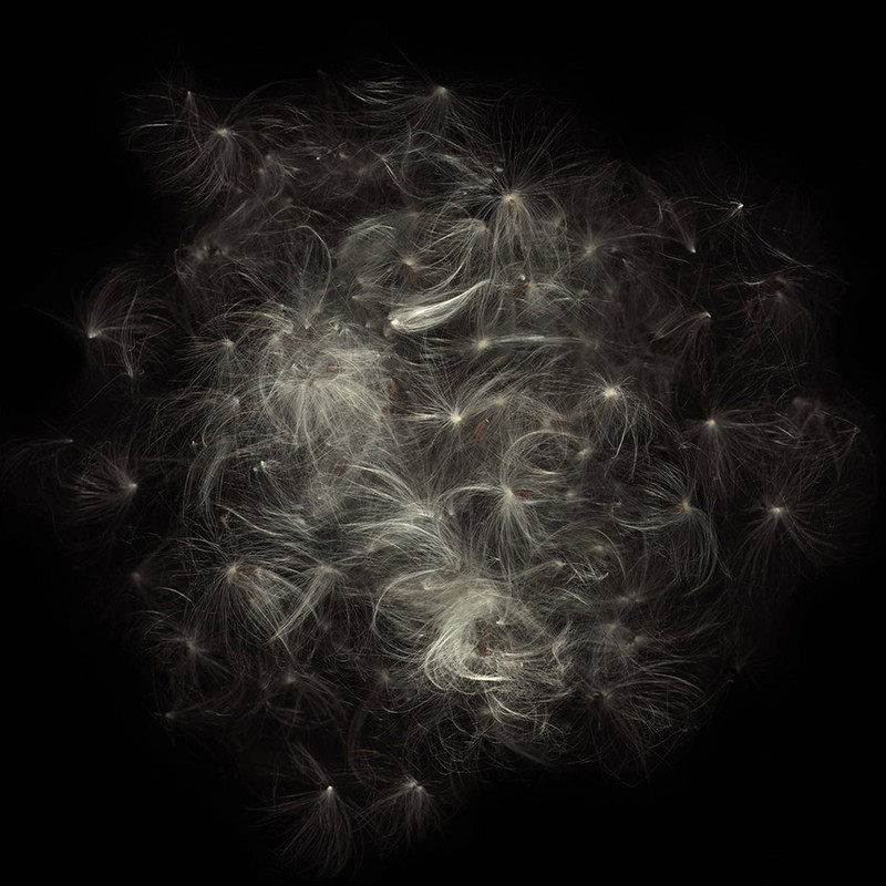 Nebula Photo by Bob Francis