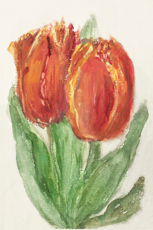 Two Red Tulips by Sina van Houten