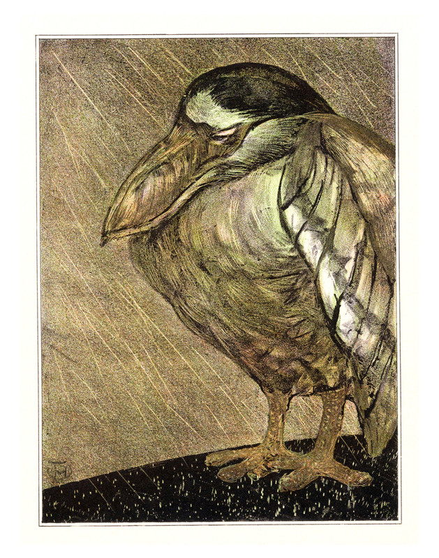 Boat Heron in the Rain by Theo van Hoytema