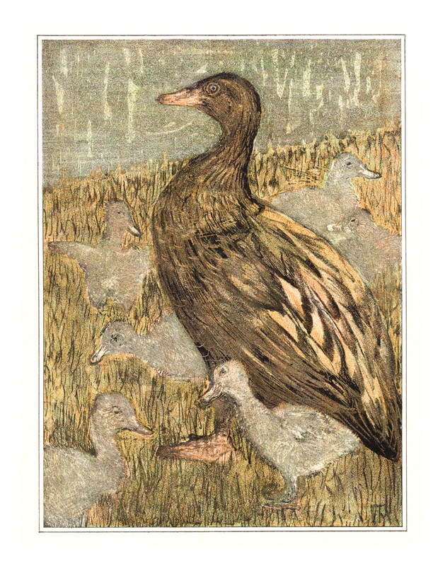 Duck with Chicks at Waterfront by  by Theo van Hoytema