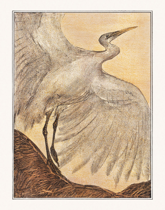 Egret by Theo van Hoytema
