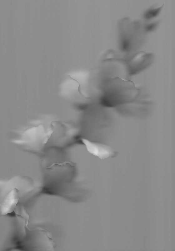 Silk #2 Flowers by Amie Mack
