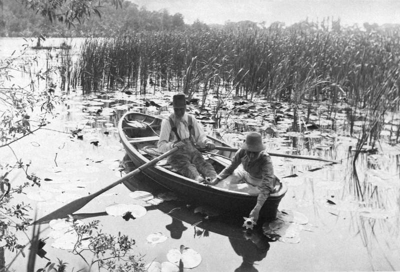 gathering-water-lilies_peter_herry-emerson