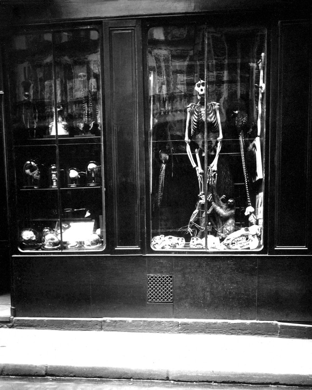 Naturaliste, rue de l'école de médecine by Eugène Atget