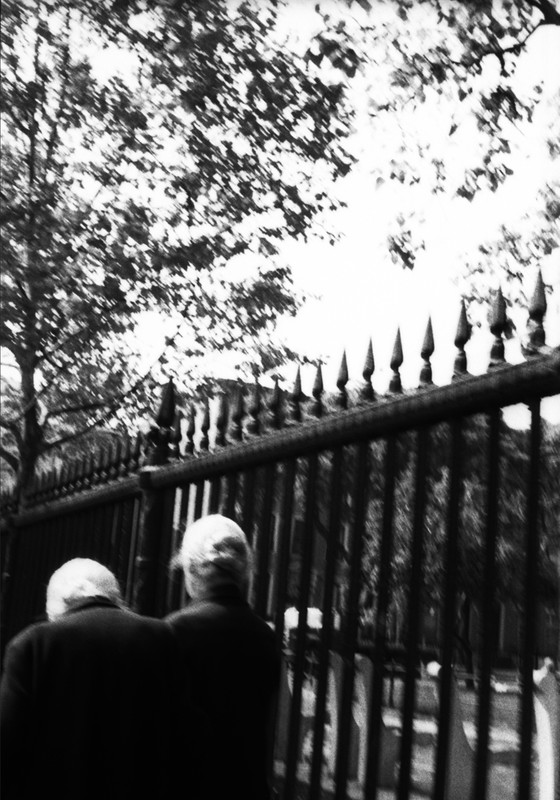 Two Old Folks by Drew Carolan: Impressionistic black and white street photography of an elderly couple walking past an iron fence in NYC. Soft focus, motion blur, and high contrast create a dreamlike atmosphere.