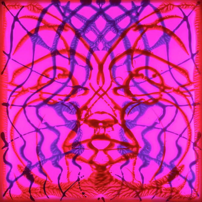 Amerikkka by Nikolas Soren Goodich | FATHOM Limited Edition