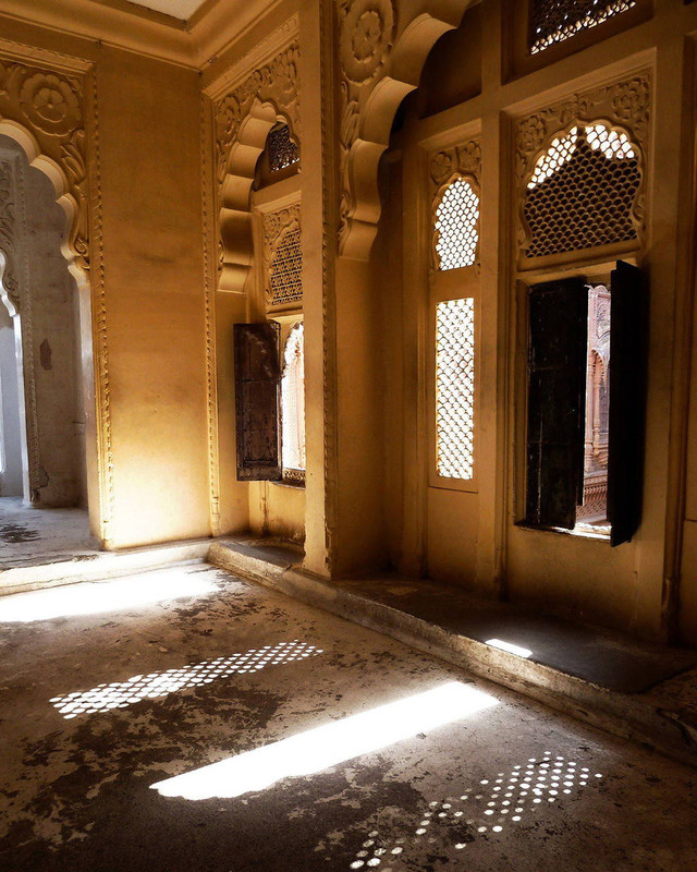 India Shadows by Danielle Massell