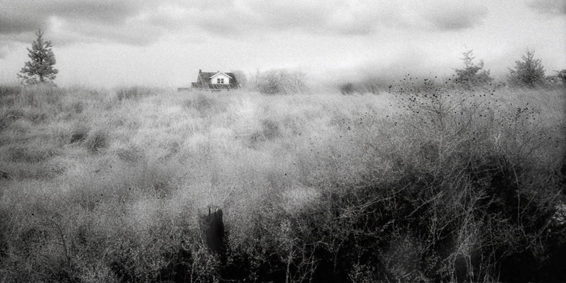 Lopez Island 2 by  Benjamin Malay