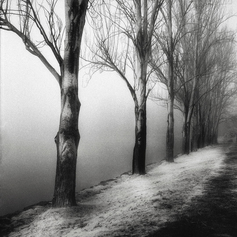 Seward Park 2 by  Benjamin Malay