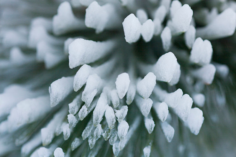 Into The White, Study#9704 by Florence Delva