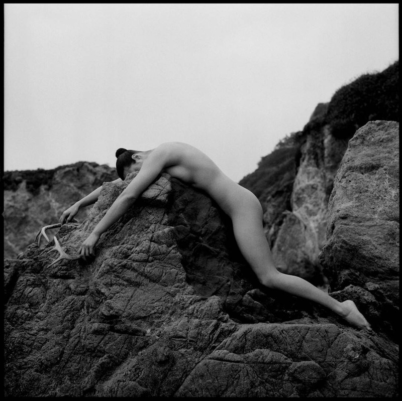 Slings + Arrows by Javiera Estrada