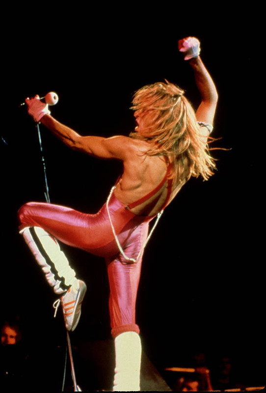 David Lee Roth #4  | Van Halen | Classic Rock Photo | Limited Edition Print | Richard E. Aaron