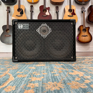 SWR Goliath II Professional Series 2x10 Bass Speaker Cabinet SWR Goliath II Professional Series 2x10 Bass Speaker Cabinet