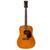 Gibson J-50 Deluxe 1970 - 1972 - Natural